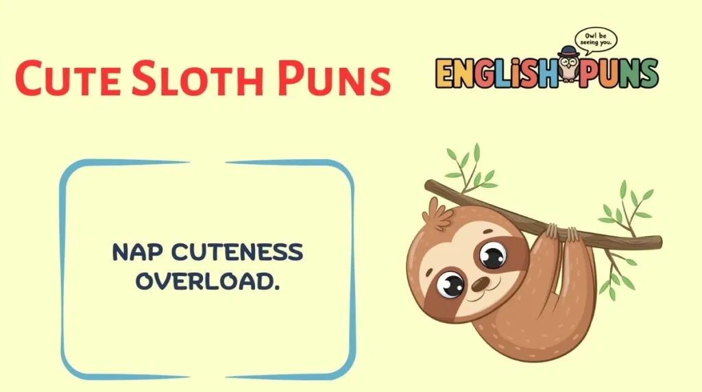 Cute Sloth Puns