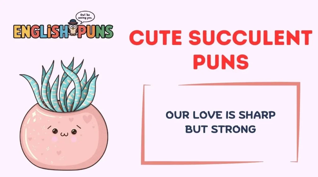 Cute Succulent Puns