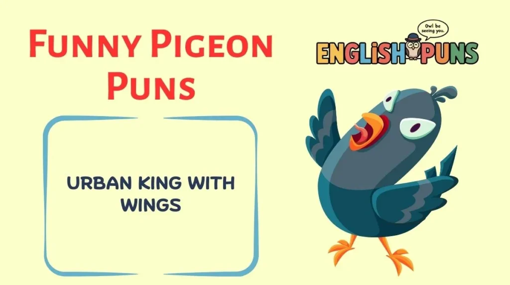Funny Pigeon Puns