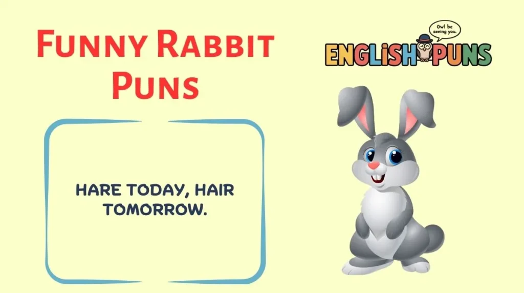 Funny Rabbit Puns