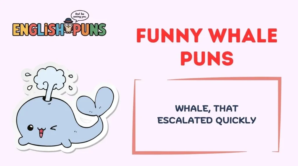 Funny Whale Puns