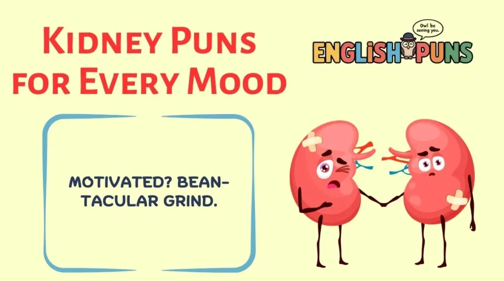 Kidney Puns for Every Mood