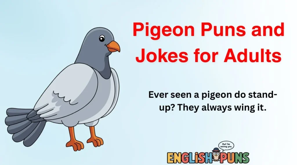 Pigeon Puns and Jokes for Adults
