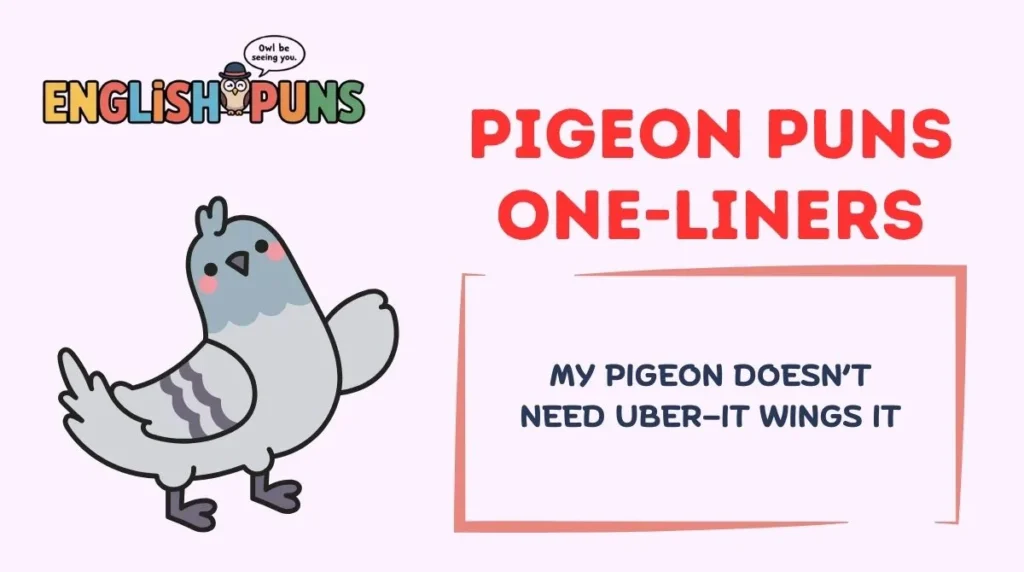 Pigeon Puns One-Liners