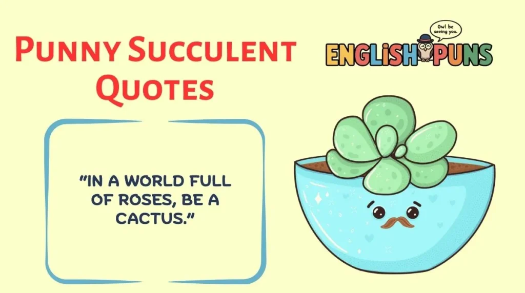 Punny Succulent Quotes