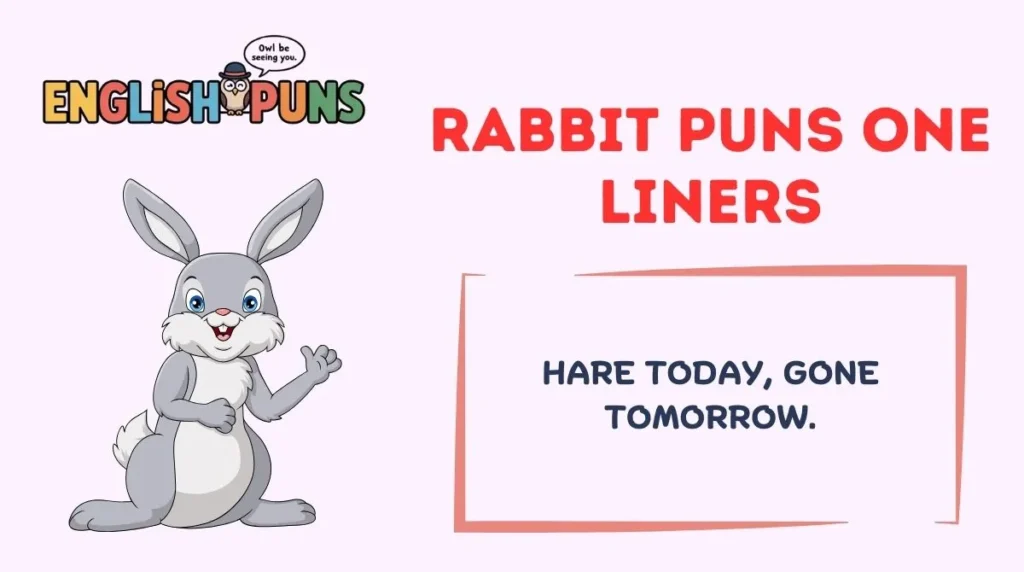 Rabbit Puns One Liners