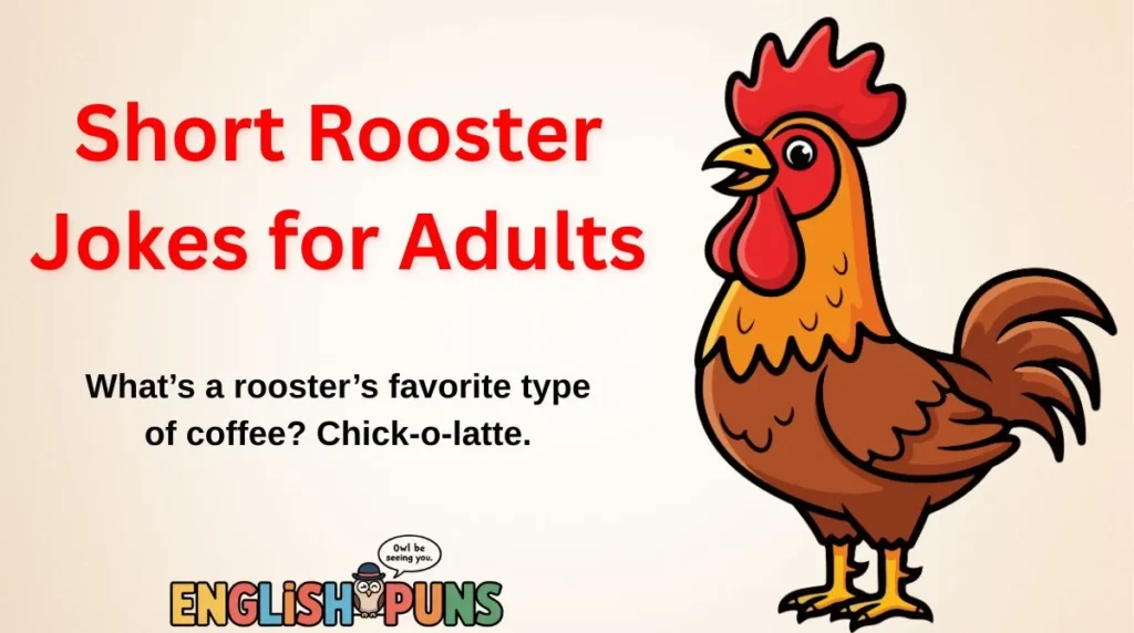 Short Rooster Jokes for Adults