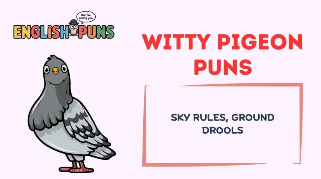 Witty Pigeon Puns