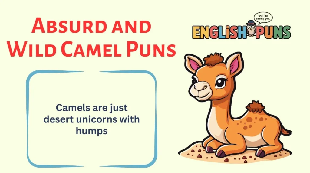 Absurd and Wild Camel Puns