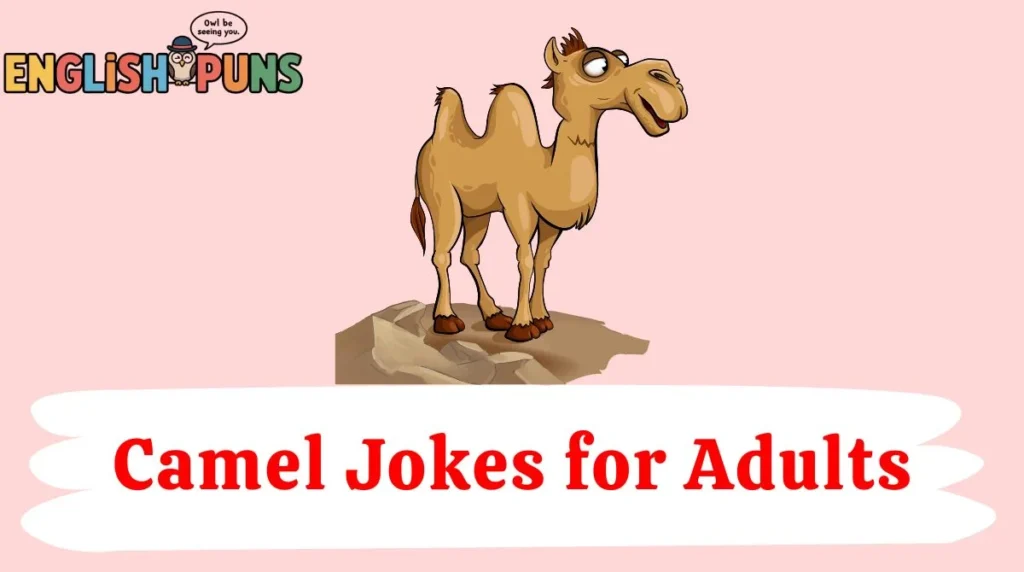 Camel Jokes for Adults