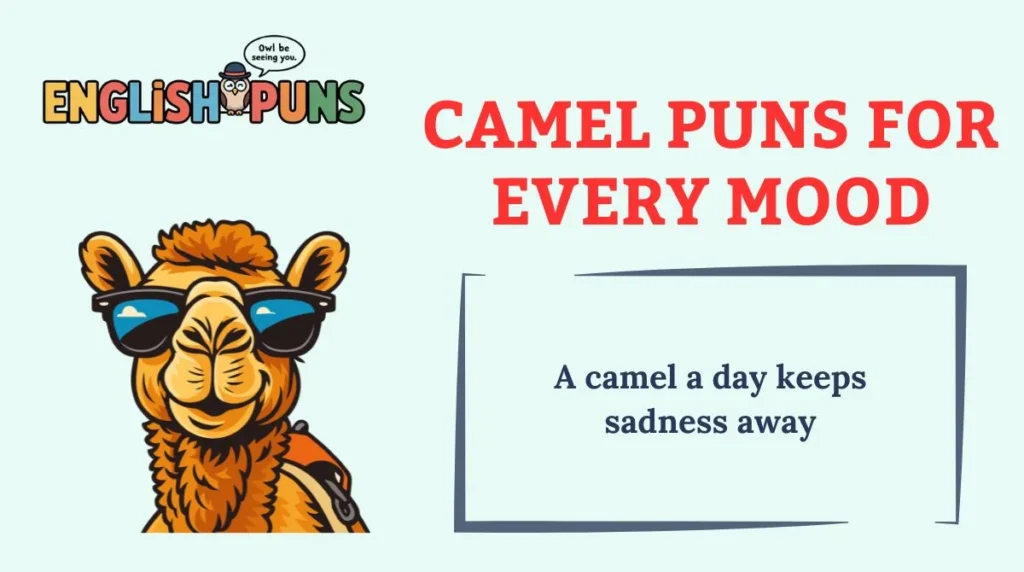 Camel Puns for Every Mood