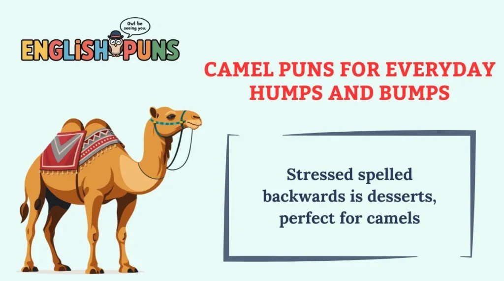 Camel Puns for Everyday Humps and Bumps