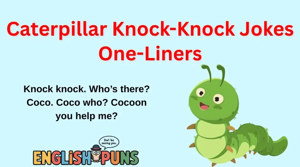 Caterpillar Knock-Knock Jokes One-Liners