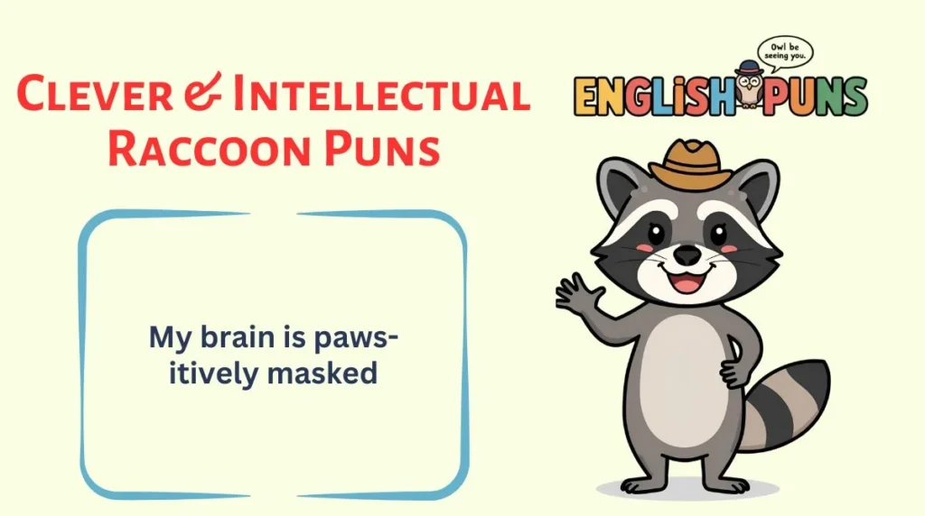 Clever & Intellectual Raccoon Puns