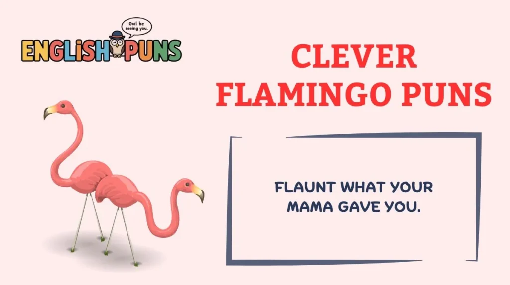 Clever Flamingo Puns