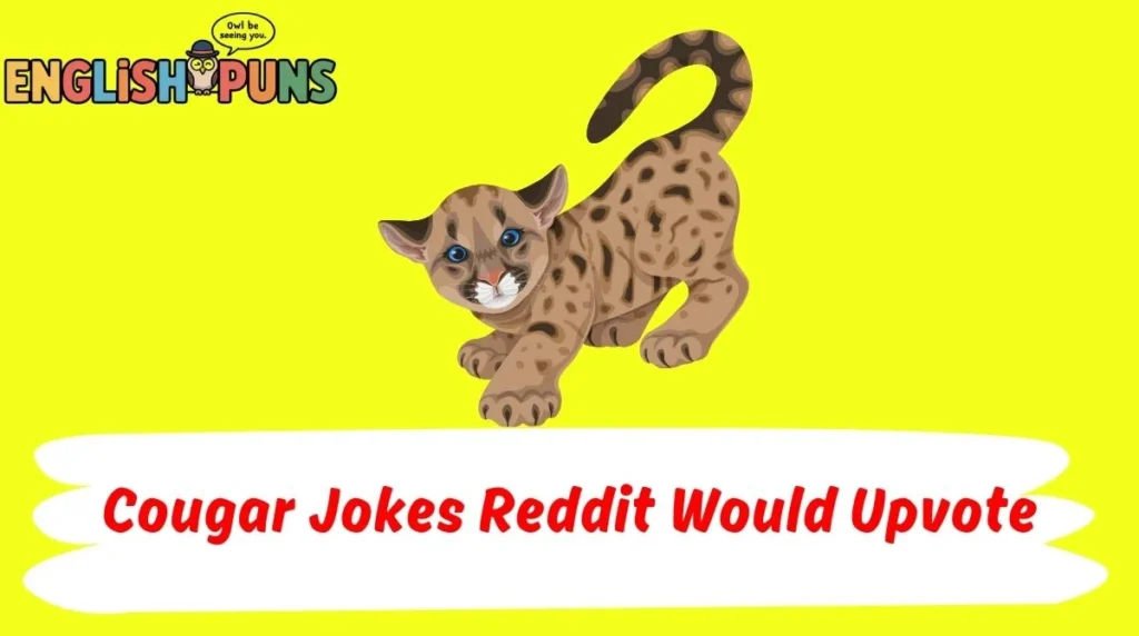 Cougar Jokes Reddit Would Upvote