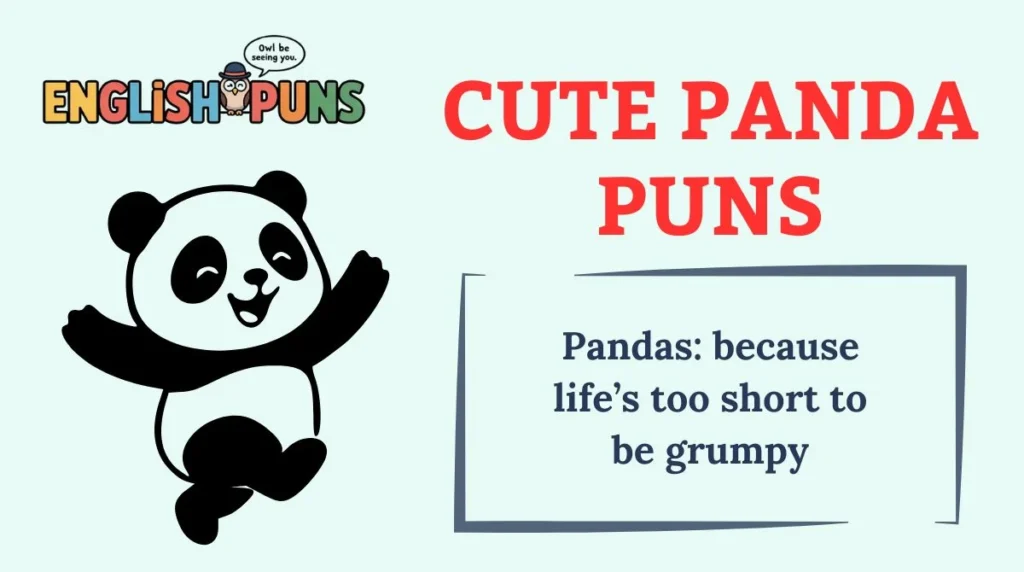Cute Panda Puns