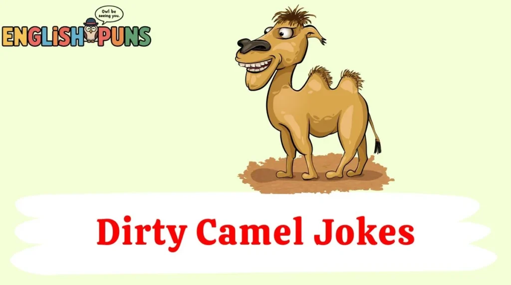 Dirty Camel Jokes