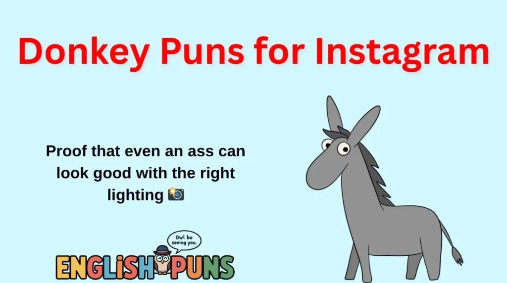 Donkey Puns for Instagram