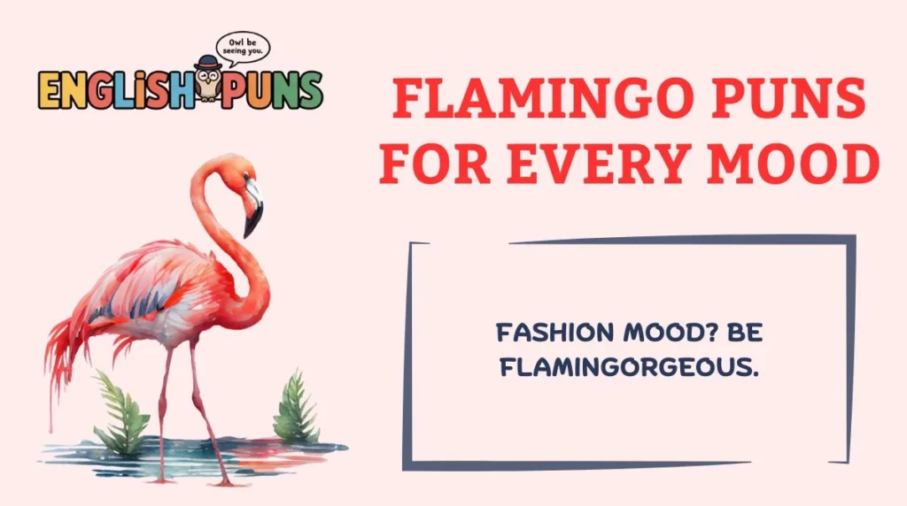 Flamingo Puns for Every Mood