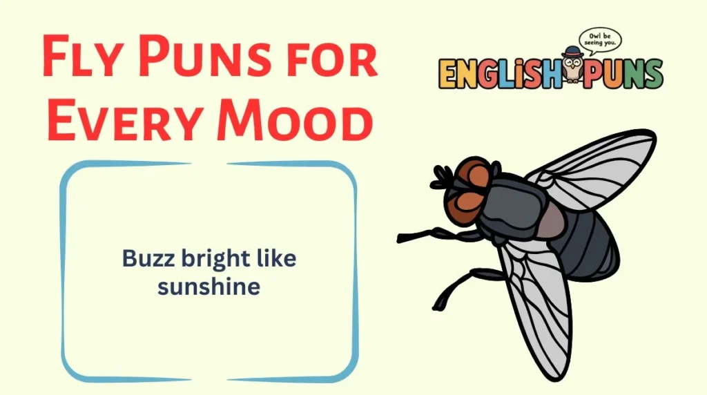 Fly Puns for Every Mood