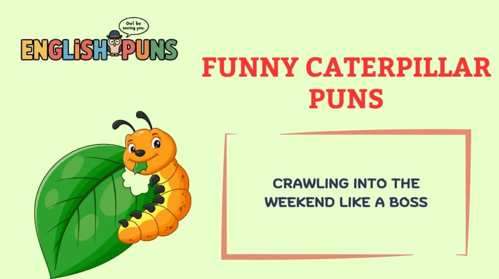 Funny Caterpillar Puns