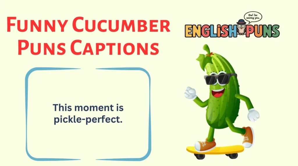 Funny Cucumber Puns Captions