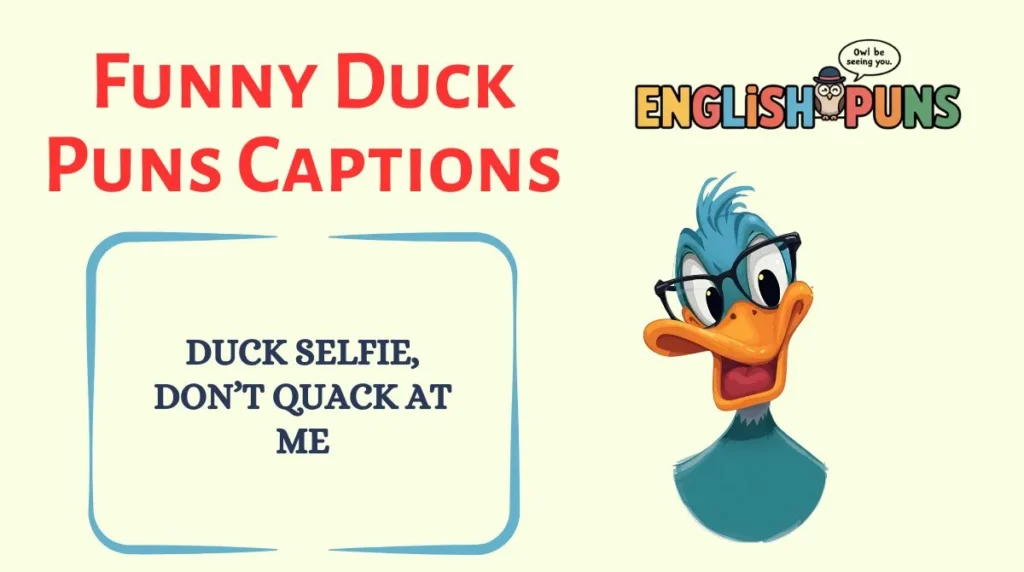 Funny Duck Puns Captions