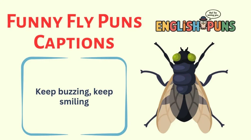 Funny Fly Puns Captions