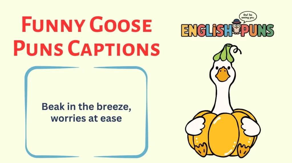 Funny Goose Puns Captions