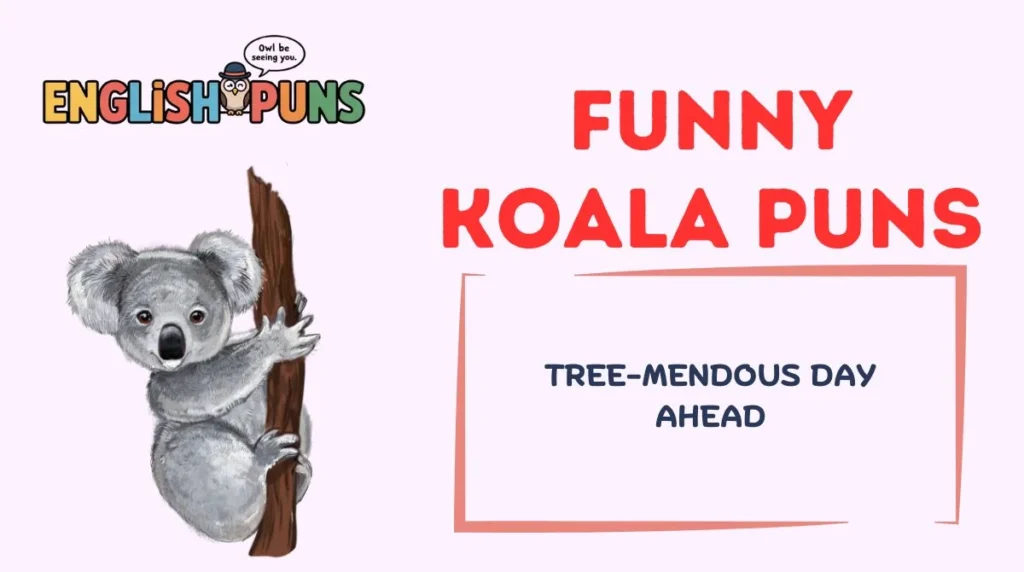 Funny Koala Puns