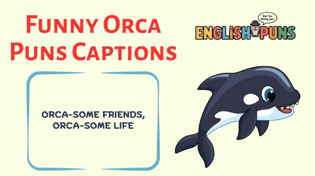 Funny Orca Puns Captions