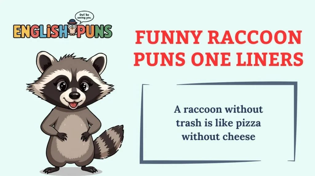 Funny Raccoon Puns One Liners