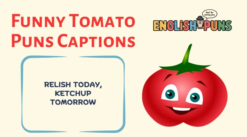 Funny Tomato Puns Captions