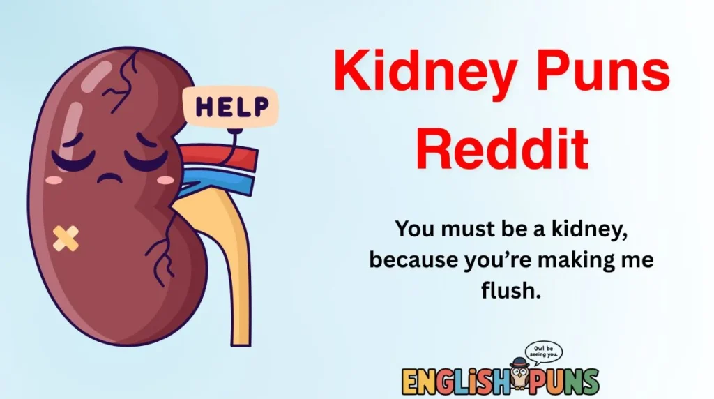 Kidney Puns Reddit