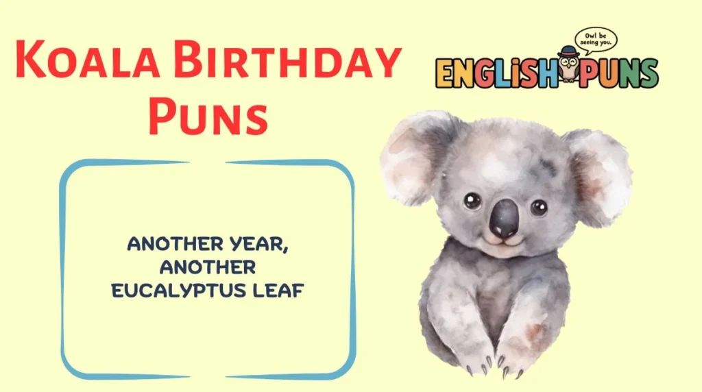 Koala Birthday Puns
