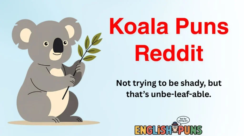 Koala Puns Reddit
