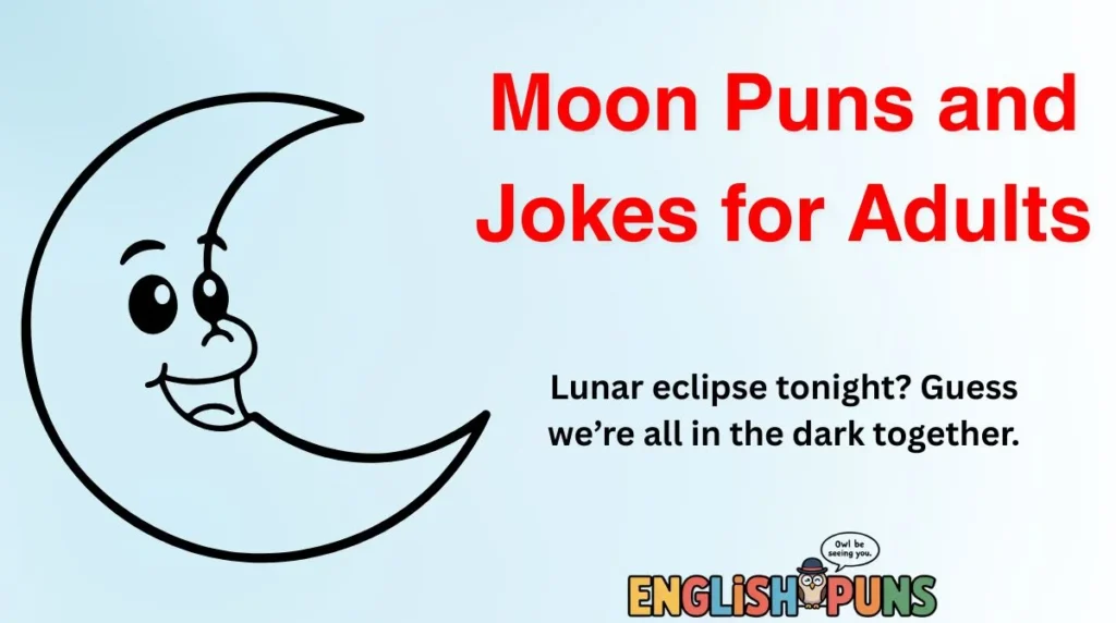 Moon Puns and Jokes for Adults