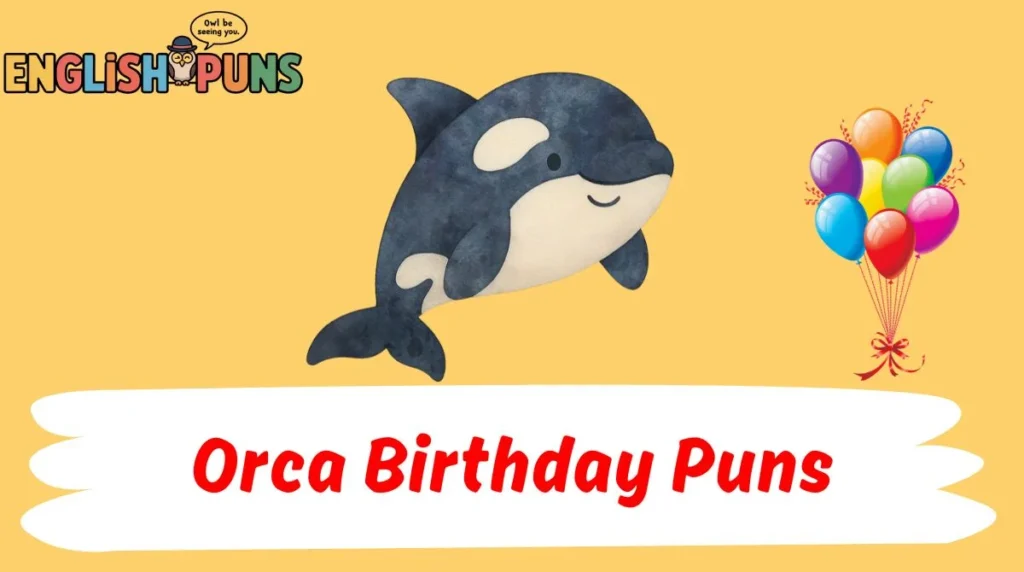 Orca Birthday Puns