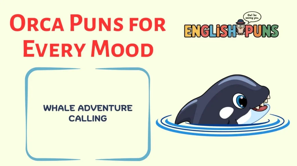 Orca Puns for Every Mood