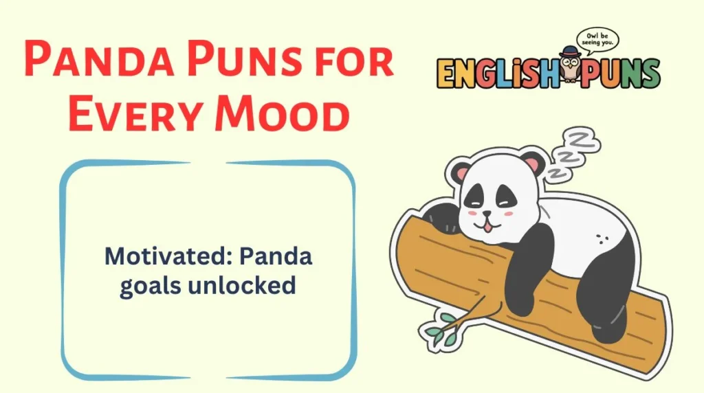 Panda Puns for Every Mood