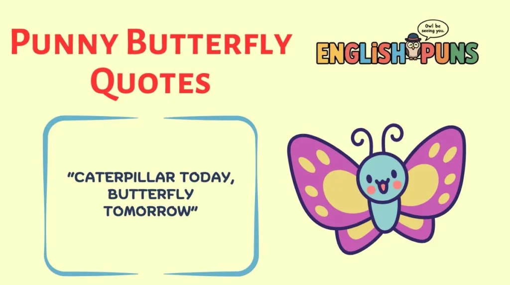 Punny Butterfly Quotes