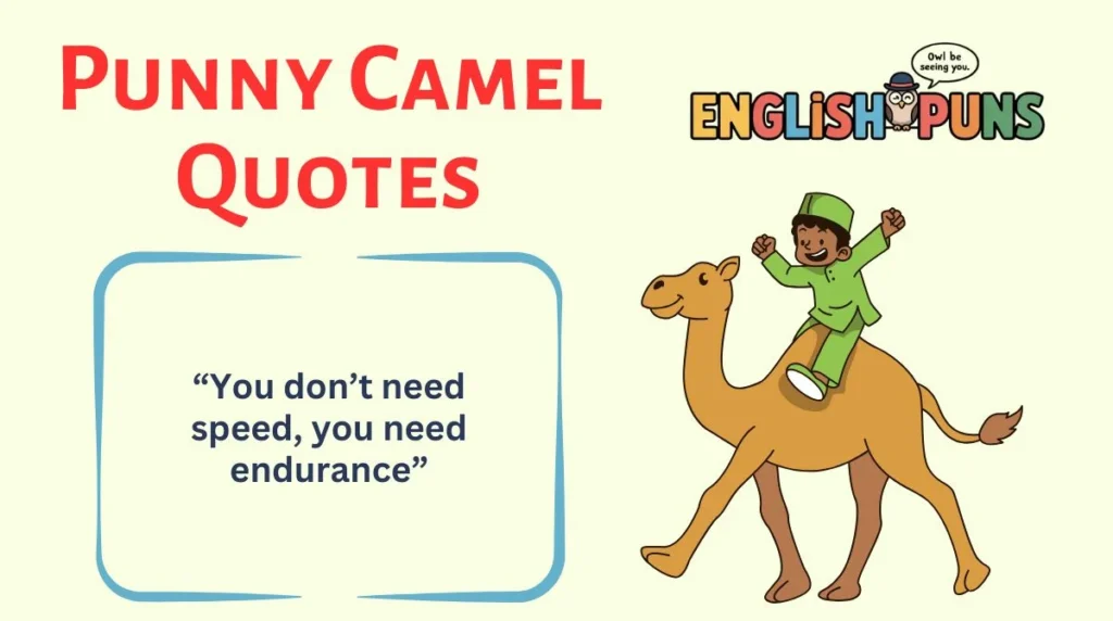 Punny Camel Quotes