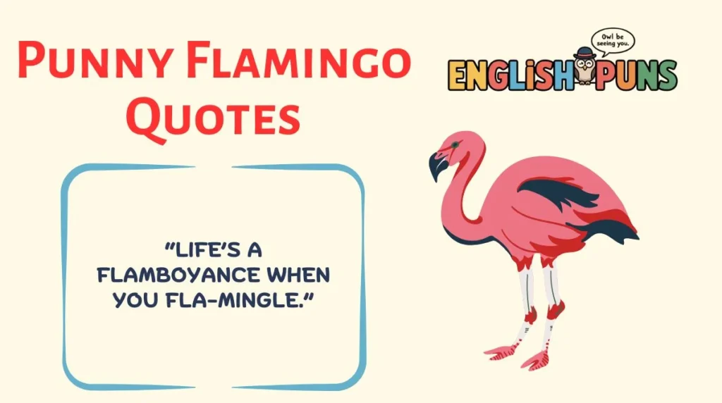 Punny Flamingo Quotes