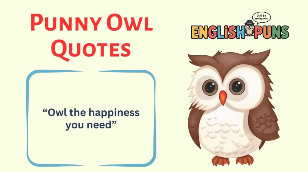 Punny Owl Quotes
