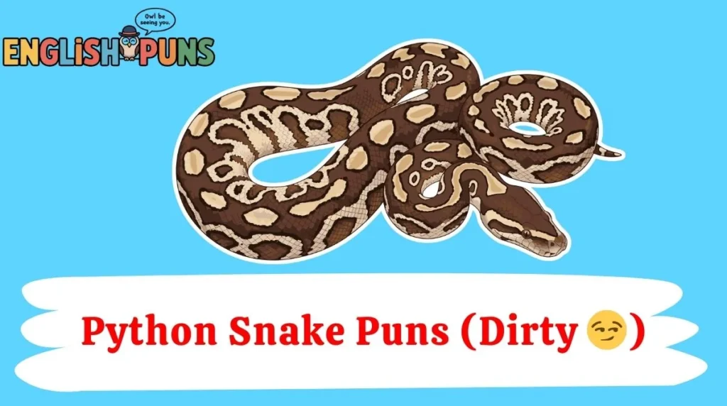 Python Snake Puns (Dirty 😏)