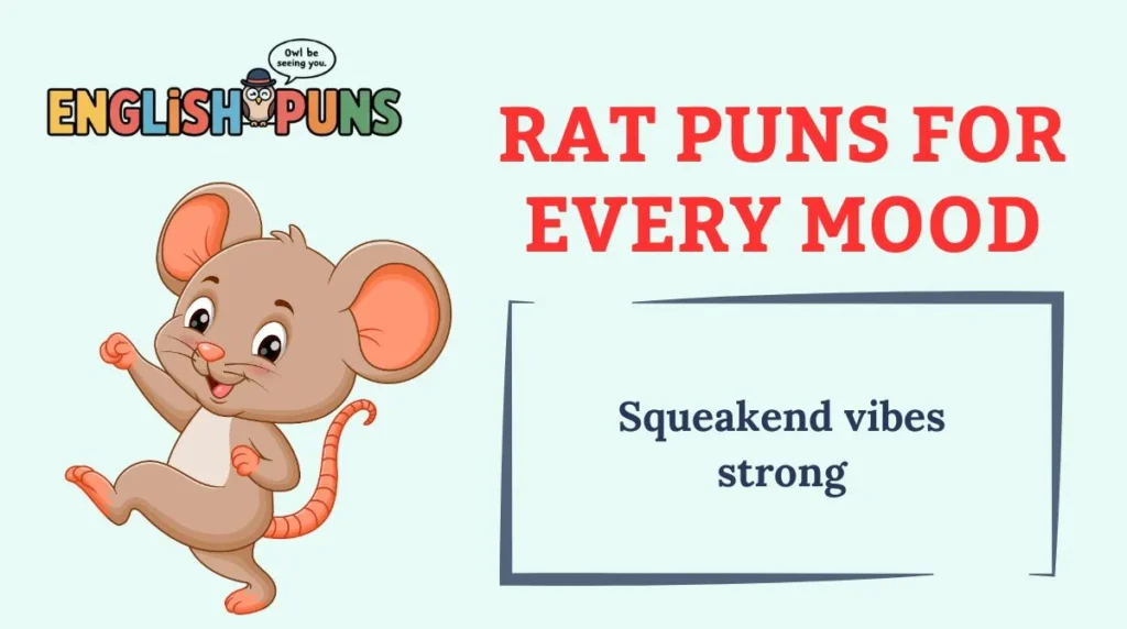 Rat Puns for Every Mood