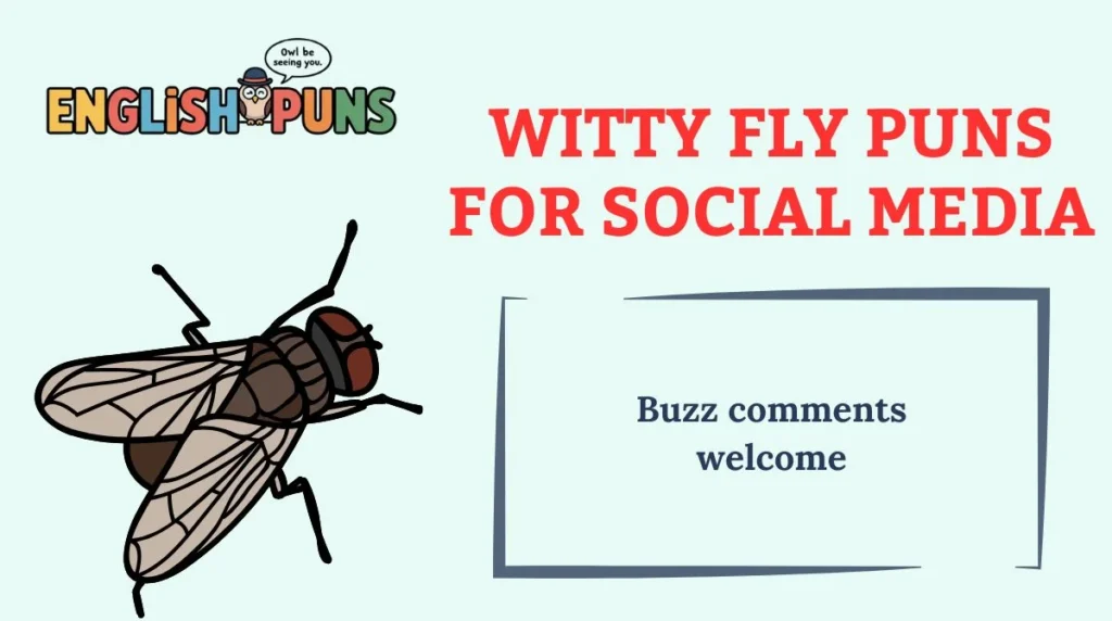 Witty Fly Puns for Social Media