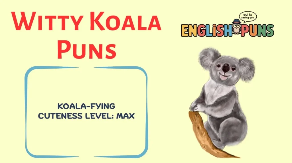 Witty Koala Puns