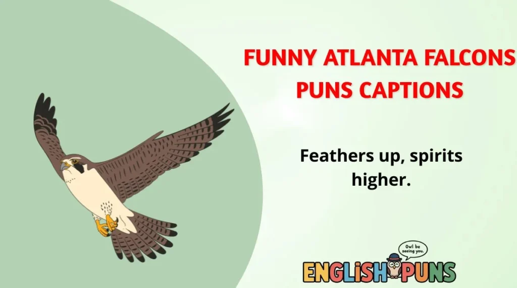 Funny Atlanta Falcons Puns Captions